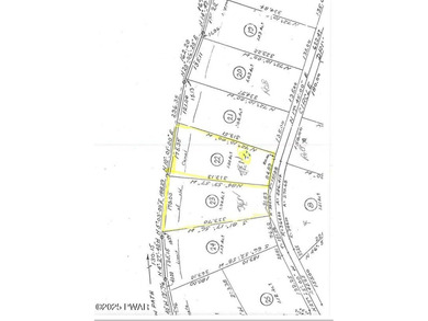 STUNNING DOUBLE LOT OVERLOOKING LACKAWAXEN RIVER- FANTASTIC - photo 2