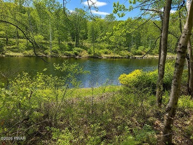 STUNNING DOUBLE LOT OVERLOOKING LACKAWAXEN RIVER- FANTASTIC - photo 3
