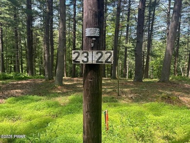 STUNNING DOUBLE LOT OVERLOOKING LACKAWAXEN RIVER- FANTASTIC - photo 5