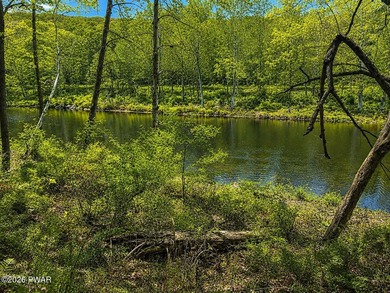 STUNNING DOUBLE LOT OVERLOOKING LACKAWAXEN RIVER- FANTASTIC - photo 9