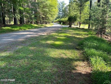 STUNNING DOUBLE LOT OVERLOOKING LACKAWAXEN RIVER- FANTASTIC - photo 10