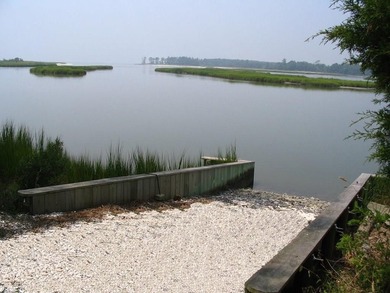 Unobstructed Chesapeake Bay Views! A rare blend of privacy & - photo 8