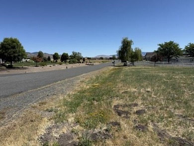 Beautiful 1.1 acre lot with stunning Mt. Shasta views - photo 3