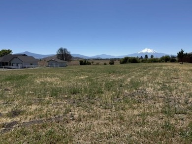 Beautiful 1.1 acre lot with stunning Mt. Shasta views - photo 4