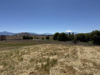 Beautiful 1.1 acre lot with stunning Mt. Shasta views - photo 5
