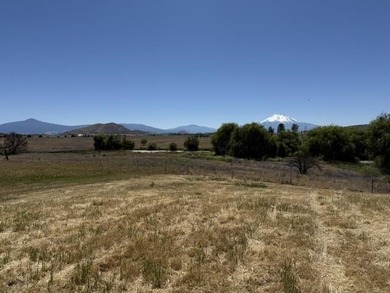 Beautiful 1.1 acre lot with stunning Mt. Shasta views - photo 6