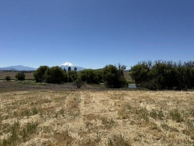 Beautiful 1.1 acre lot with stunning Mt. Shasta views - photo 7