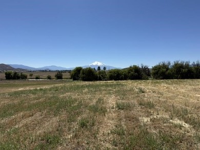 Beautiful 1.1 acre lot with stunning Mt. Shasta views - photo 8