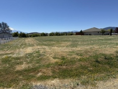 Beautiful 1.1 acre lot with stunning Mt. Shasta views - photo 9