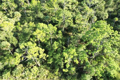 Buy and build or invest and wait. Location is close to Highway - photo 11