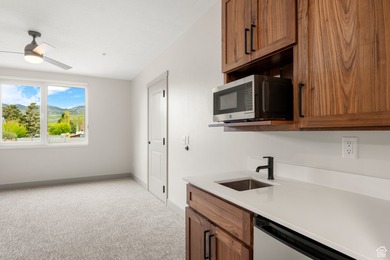 Modern Luxury Condo Near Bear Lake Short term rental Approved - photo 18