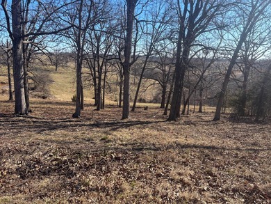 Located on Rainbow Ridge, a peninsula that ends at Bull Shoals - photo 29