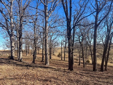 Located on Rainbow Ridge, a peninsula that ends at Bull Shoals - photo 30