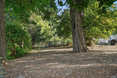 Welcome to 9 Starview Avenue, a beautifully maintained home set - photo 30