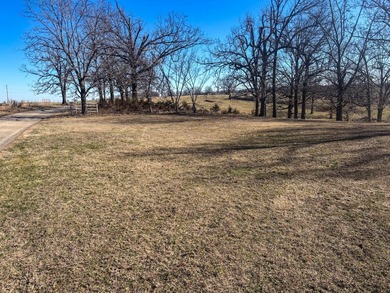 Located on Rainbow Ridge, a peninsula that ends at Bull Shoals - photo 31