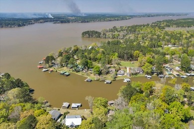 MAIN LAKE LIVING ON LAKE BLACKSHEAR WITH A SELLER-PAID 2-1 RATE - photo 4