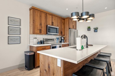 Modern Luxury Condo Near Bear Lake Short term rental Approved - photo 58
