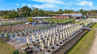Lake Acreage For Sale in Fort Myers, Florida