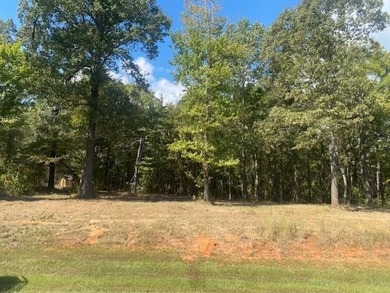 Discover an exceptional opportunity to own acreage in the highly - photo 2