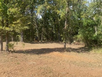 Discover an exceptional opportunity to own acreage in the highly - photo 3