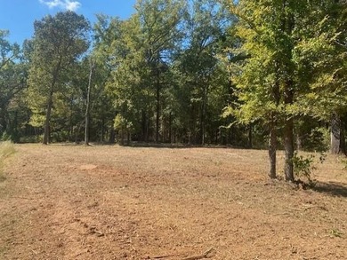 Discover an exceptional opportunity to own acreage in the highly - photo 4