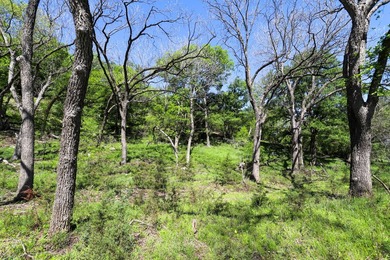 533 Acres Coryell County, Central Texas Located in the heart of - photo 5