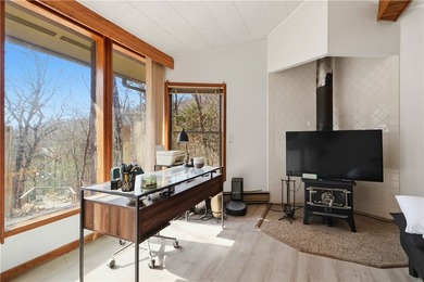 One-of-a-kind property in Lost Bridge Village. Fully renovated - photo 17