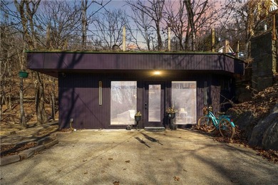 One-of-a-kind property in Lost Bridge Village. Fully renovated - photo 19