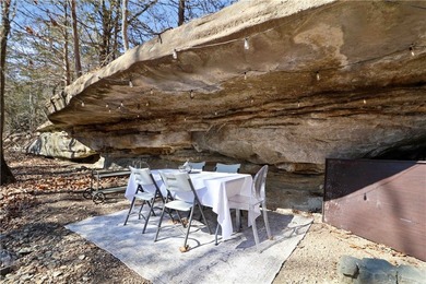 One-of-a-kind property in Lost Bridge Village. Fully renovated - photo 31