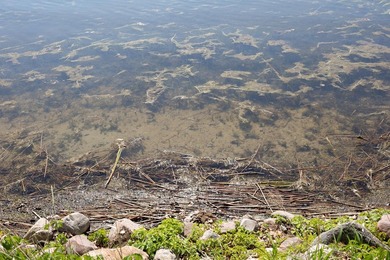 Opportunities like this are becoming increasingly difficult to - photo 31