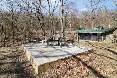 One-of-a-kind property in Lost Bridge Village. Fully renovated - photo 35