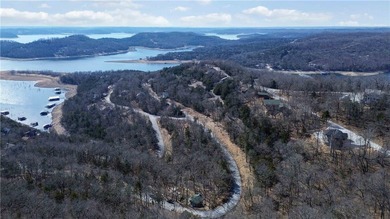 One-of-a-kind property in Lost Bridge Village. Fully renovated - photo 36