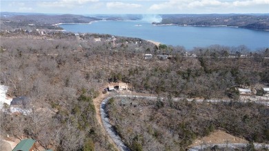 One-of-a-kind property in Lost Bridge Village. Fully renovated - photo 41
