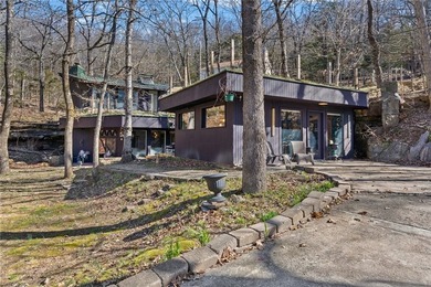 One-of-a-kind property in Lost Bridge Village. Fully renovated - photo 42