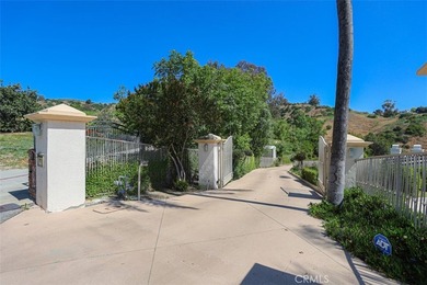 Welcome to 1121 Pinto Dr., a custom estate by renowned builder - photo 45