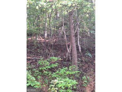 Toccoa River - Fannin County Acreage For Sale in Suches Georgia