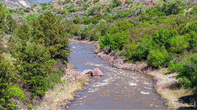 Luxury riverfront home on the Roaring Fork River in Glenwood - photo 8