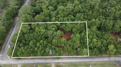 Lake Marion Lot For Sale in Summerton South Carolina
