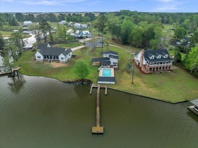 WHAT A VIEW! Your LAKE BLACKSHEAR Sunset Retreat Awaits! SPRING - photo 2