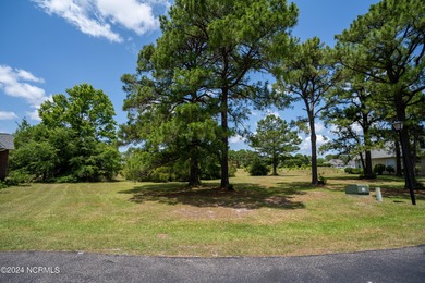 View, location, and privacy all describe this amazing home-site - photo 6