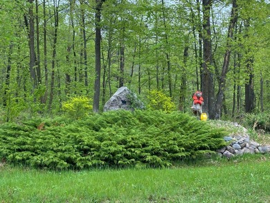 Welcome to Bear Tracts West, bring your plans. This development - photo 1