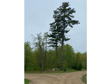 Welcome to Bear Tracts West, bring your plans. This development - photo 3
