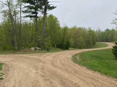 Welcome to Bear Tracts West, bring your plans. This development - photo 4