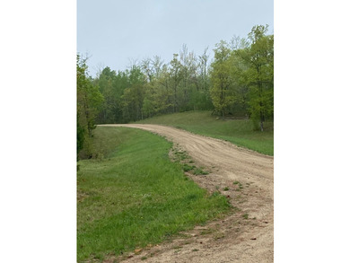Welcome to Bear Tracts West, bring your plans. This development - photo 5