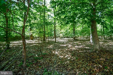 Peaceful Country Home ..SUPER SIZED!! Brick front Split Foyer - photo 45