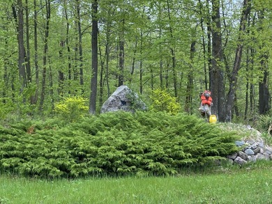 Welcome to Bear Tracts West, bring your plans. This development - photo 1