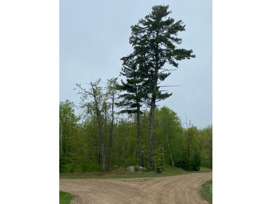 Welcome to Bear Tracts West, bring your plans. This development - photo 3