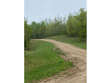 Welcome to Bear Tracts West, bring your plans. This development - photo 5