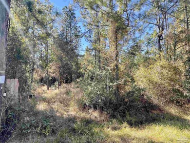 Blackwater River Acreage For Sale in Milton Florida
