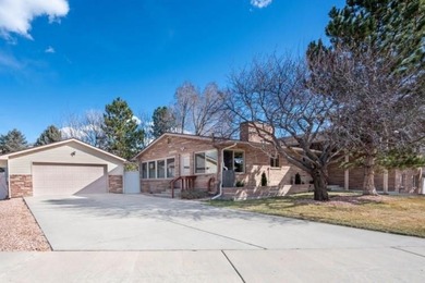 Colorado River Home For Sale in Palisade Colorado